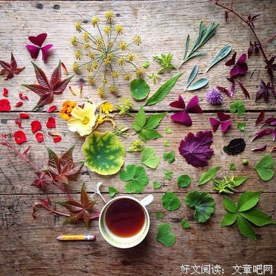 最经典的《个性网》名句欣赏