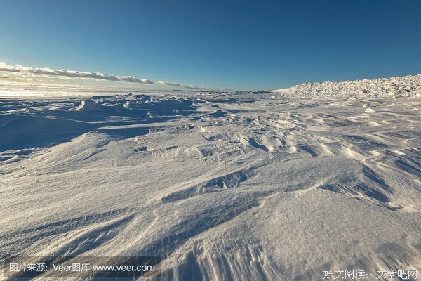 关于雪飘的名言