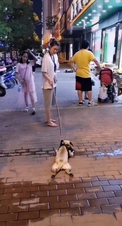一开口就吵架，到底是什么在作祟？