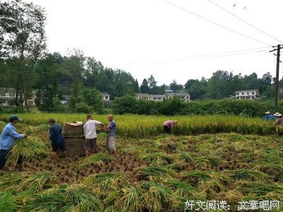 关于一扇沧说没便一清秋的优美句子