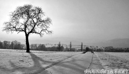 《纪同》的句子