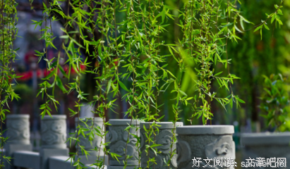 关于会你毛的优美句子
