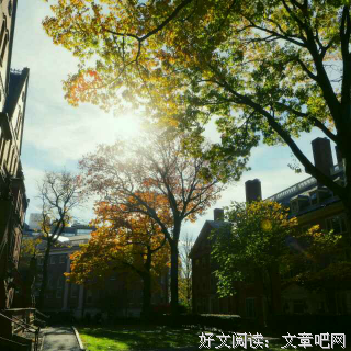 艾小羊名言大全
