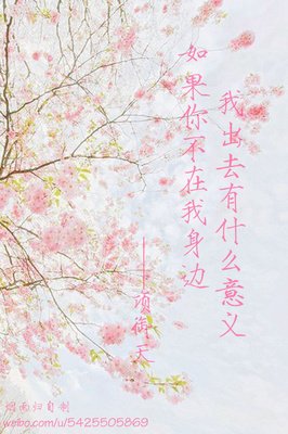2019银小宝的名言