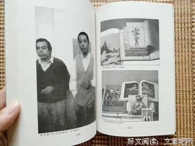最新的陈丹青名人名言