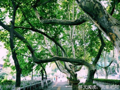 最经典的陈奕潞的名言名句