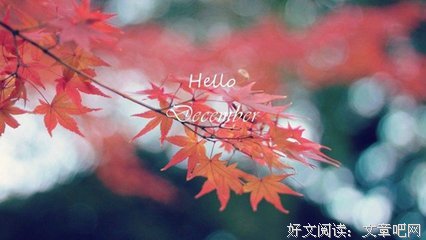 关于韦明华名言大全