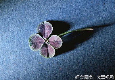 最全的《十句话》经典语句