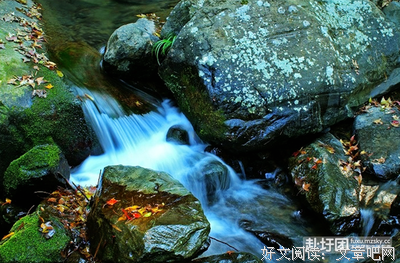 Mr. Miss：把明天的烦恼交给明天，先跳支舞吧 | 瞬间MomentX