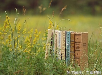 最全的《天之炽》经典语句