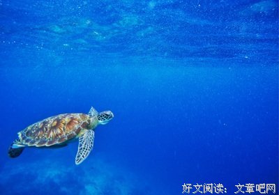 《小木木》经典句子