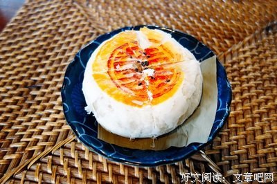 《我是猫》语录摘抄