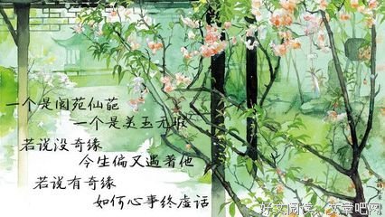 最新的《红楼梦》小说句子