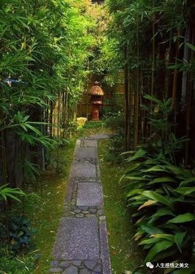 最全的《美图吧》经典句子