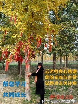 关于收藏的优美句子