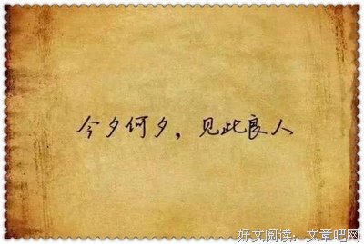 爱情，人生的优美句子
