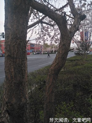 流言翡语
