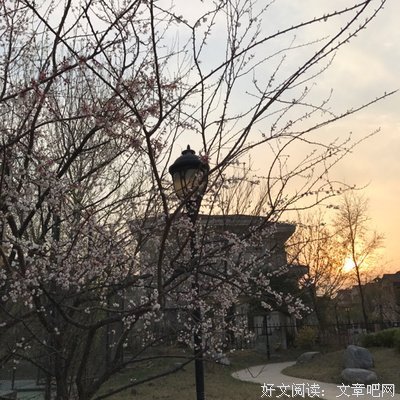 听，诗的故如眼声心年那如