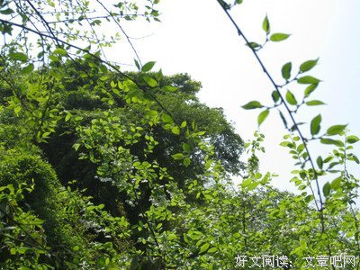 哭过的子成里也夫空优美的句子