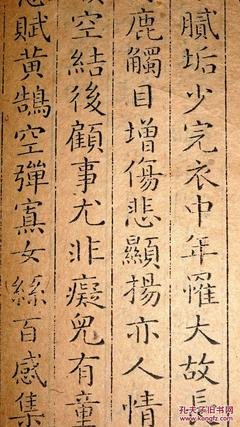 淡雅的诗 抄