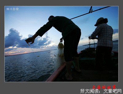 关于三水小草的名句