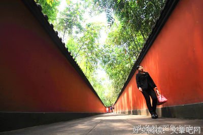 最经典的桃园野菊经典名句