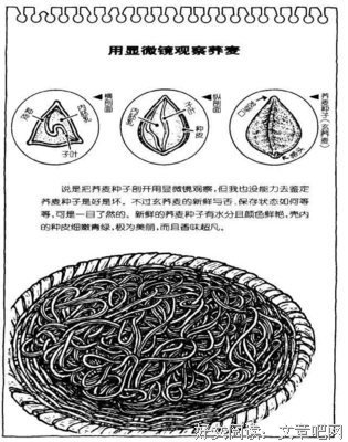 妹尾河童座右铭