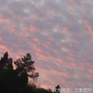 有关慕容素衣经典句子