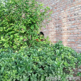摩西奶奶的名句