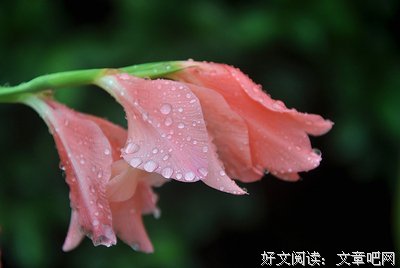 簌簌无言，念念到老