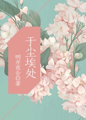 最全的明开夜合精彩语录
