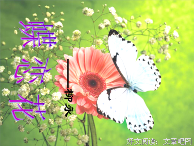 最经典的《蝶恋花》经典名句