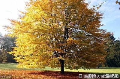 《西游记》经典语录大全