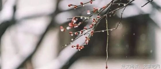 最经典的《野火集》经典名句大全