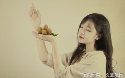 最新的《锦鲤抄》经典语录
