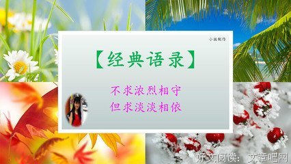 《长相守》经典语录大全
