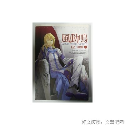 最经典的《风动鸣》小说摘抄