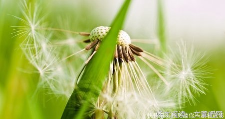 最新的《LEGAL HIGH》经典句子