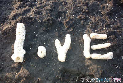 最新的《万箭穿心》好段摘抄