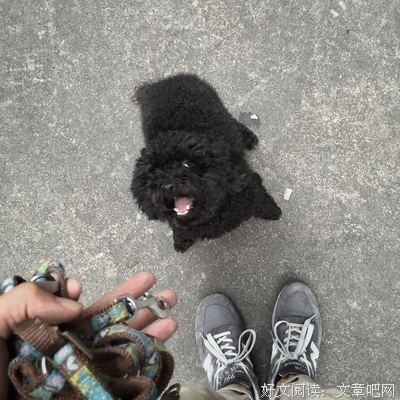 谁不是活着活着,就变成了爸妈当年的样子