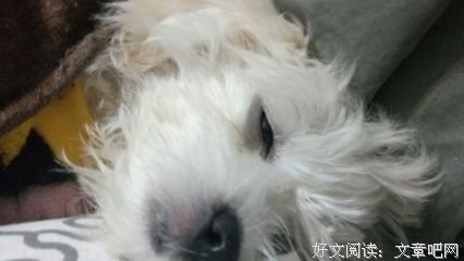 时常焦虑失眠，最终正念解开了绑在我身上的绳索