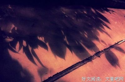 最经典的《分开旅行》经典句子