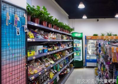 你总能吸引某一类人。