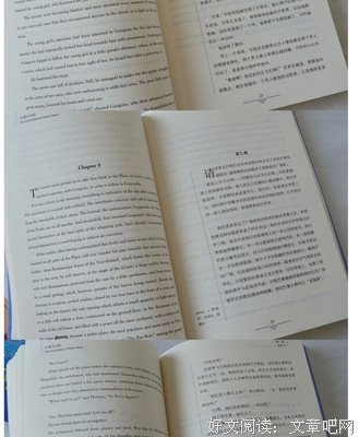 最新的《培根随笔》小说书摘