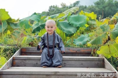 傻才幸福，聪明太累