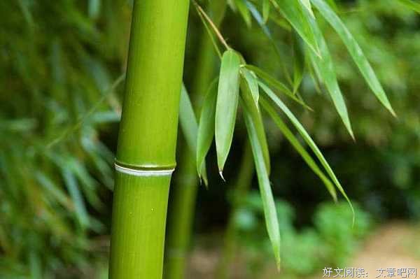 我喜欢这段话（写得真好）
