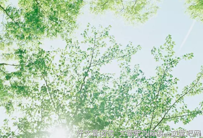 有关苍龙的美句摘抄