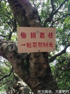 张伯的句子
