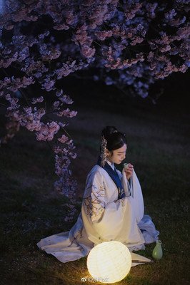 如花美眷，似里着流年........优美的句子