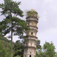荀子好词好句